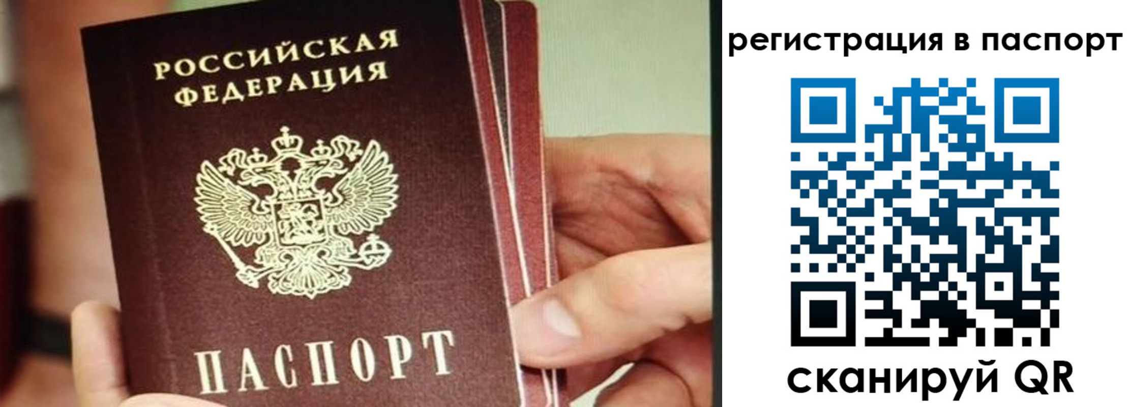 временная регистрация надежно в Ржеве
